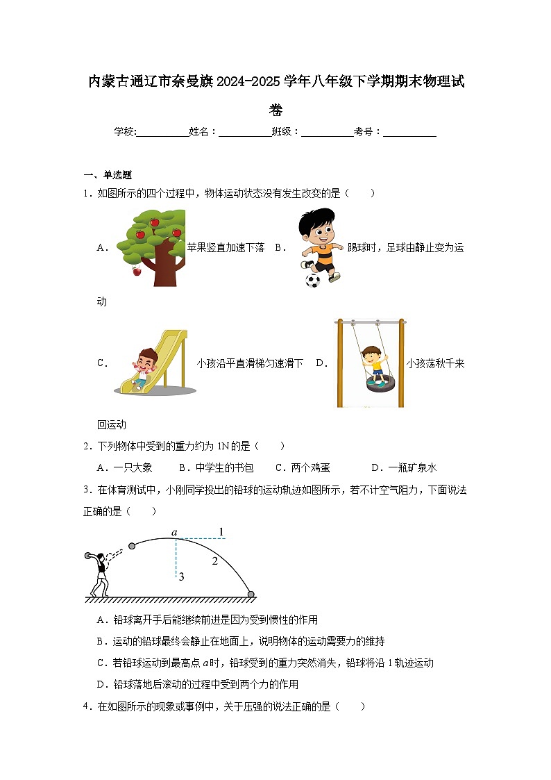2024-2025学年内蒙古通辽市奈曼旗八年级下学期期末物理试题第1页