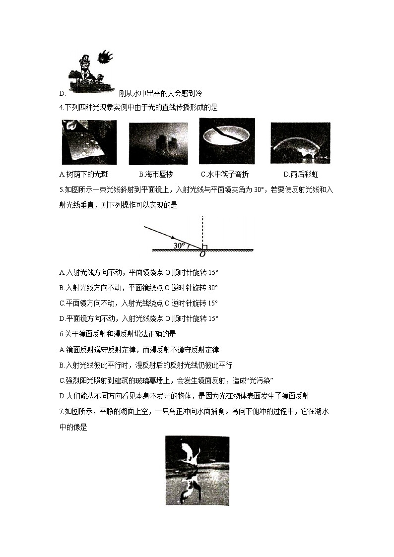 山东省滕州市2023-2024学年八年级上学期期末考试物理试卷第2页