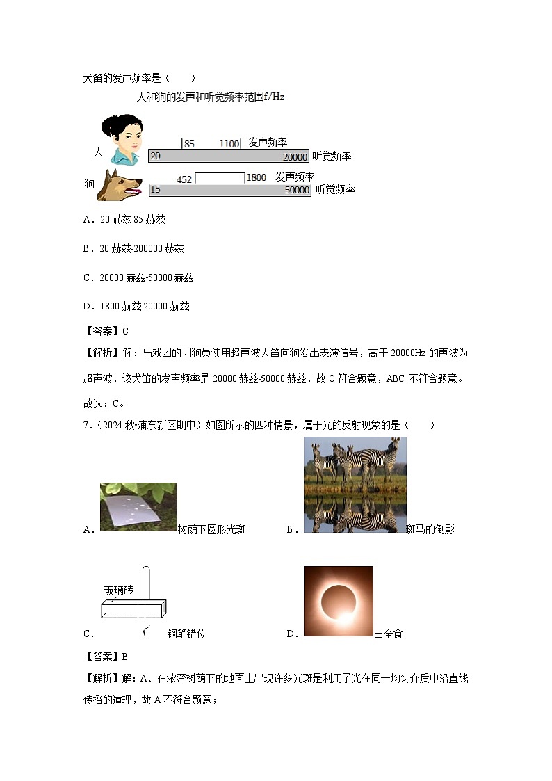 上海市2024-2025学年八年级下学期开学适应性模拟测试练习卷物理试卷第3页
