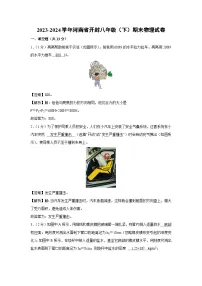 河南省开封市2023-2024学年八年级下学期6月期末物理物理试卷