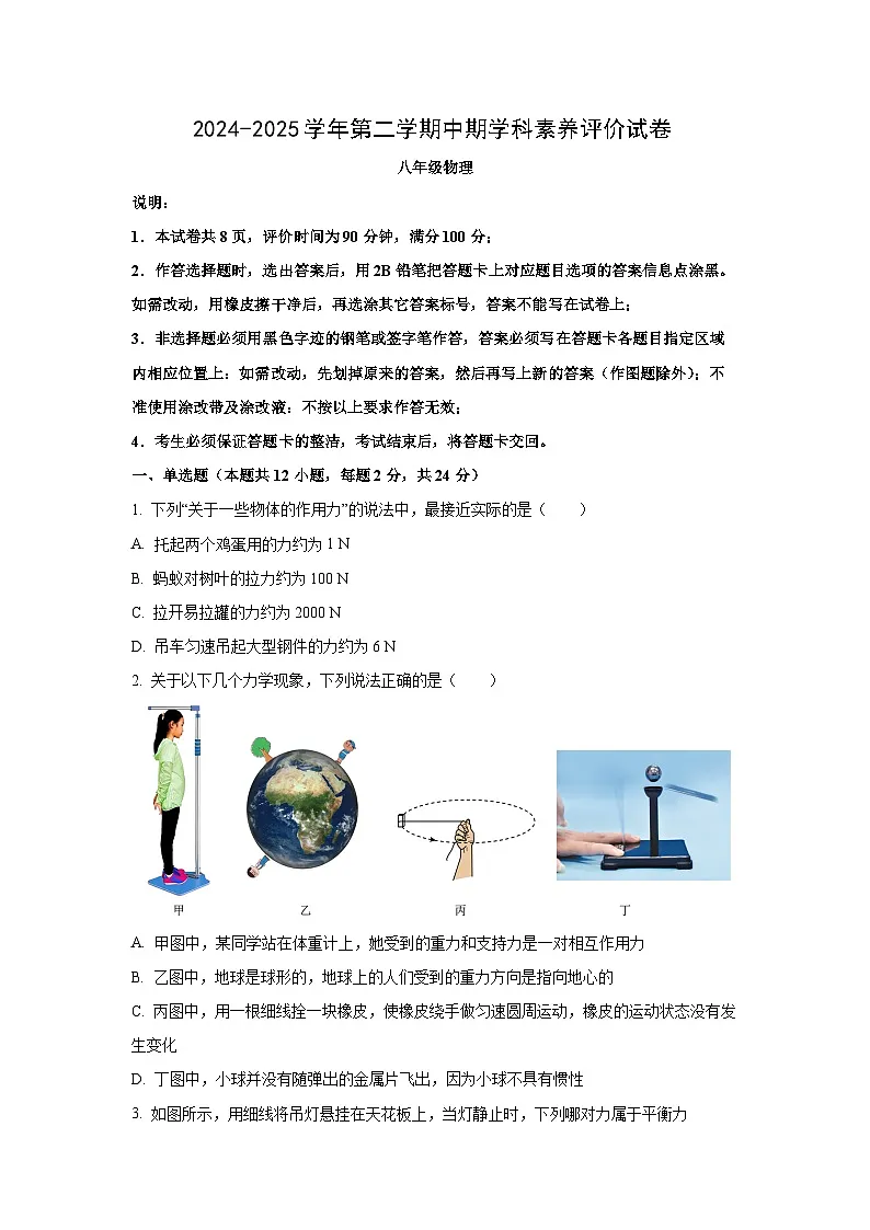 广东省深圳市龙华区2024-2025学年八年级下学期期中物理试卷（学生版）第1页