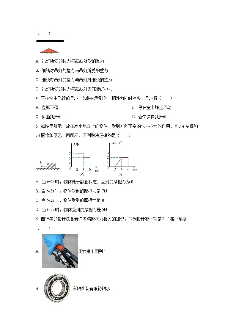 广东省深圳市龙华区2024-2025学年八年级下学期期中物理试卷（学生版）第2页