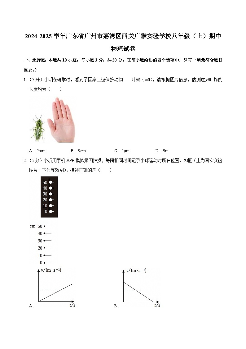 2024-2025学年广东省广州市荔湾区西关广雅实验学校八年级上学期期中物理试卷（含答案）第1页
