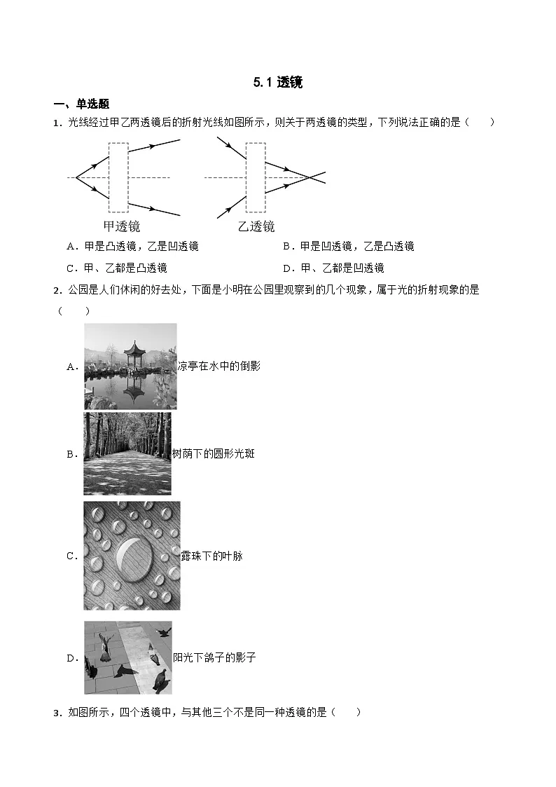 5.1透镜随堂练习 人教版物理八年级上册第1页