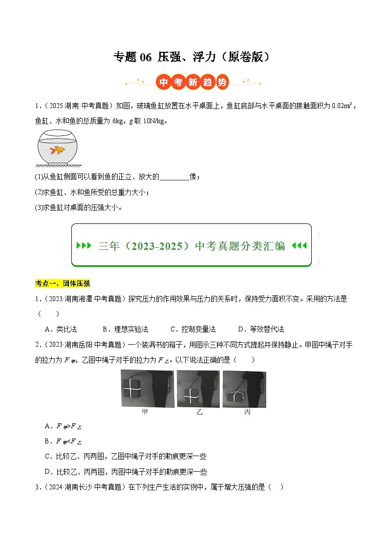专题06 压强、浮力（湖南专用）（原卷版）第1页