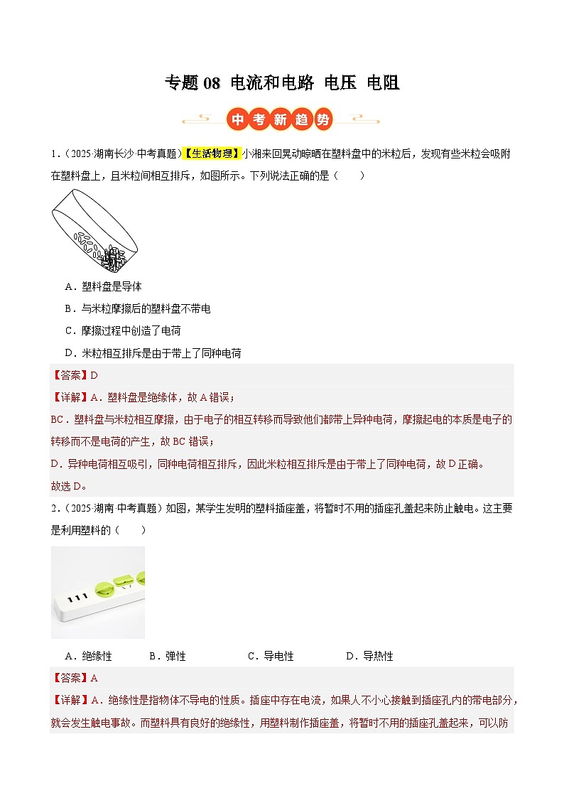 专题08 电流和电路 电压 电阻（湖南专用）（解析版）第1页