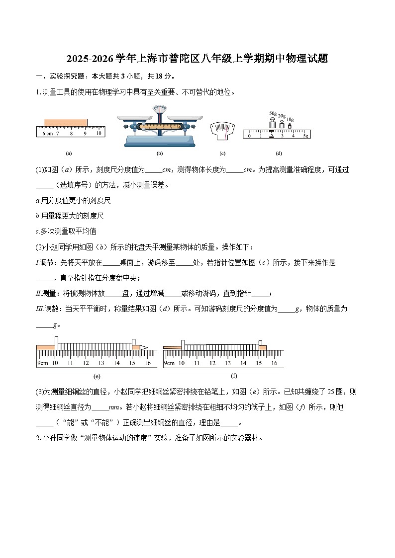 2025-2026学年上海市普陀区八年级上学期期中物理试题-自定义类型第1页