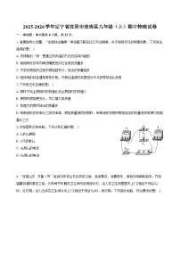 2025-2026学年辽宁省沈阳市法库县九年级（上）期中物理试卷