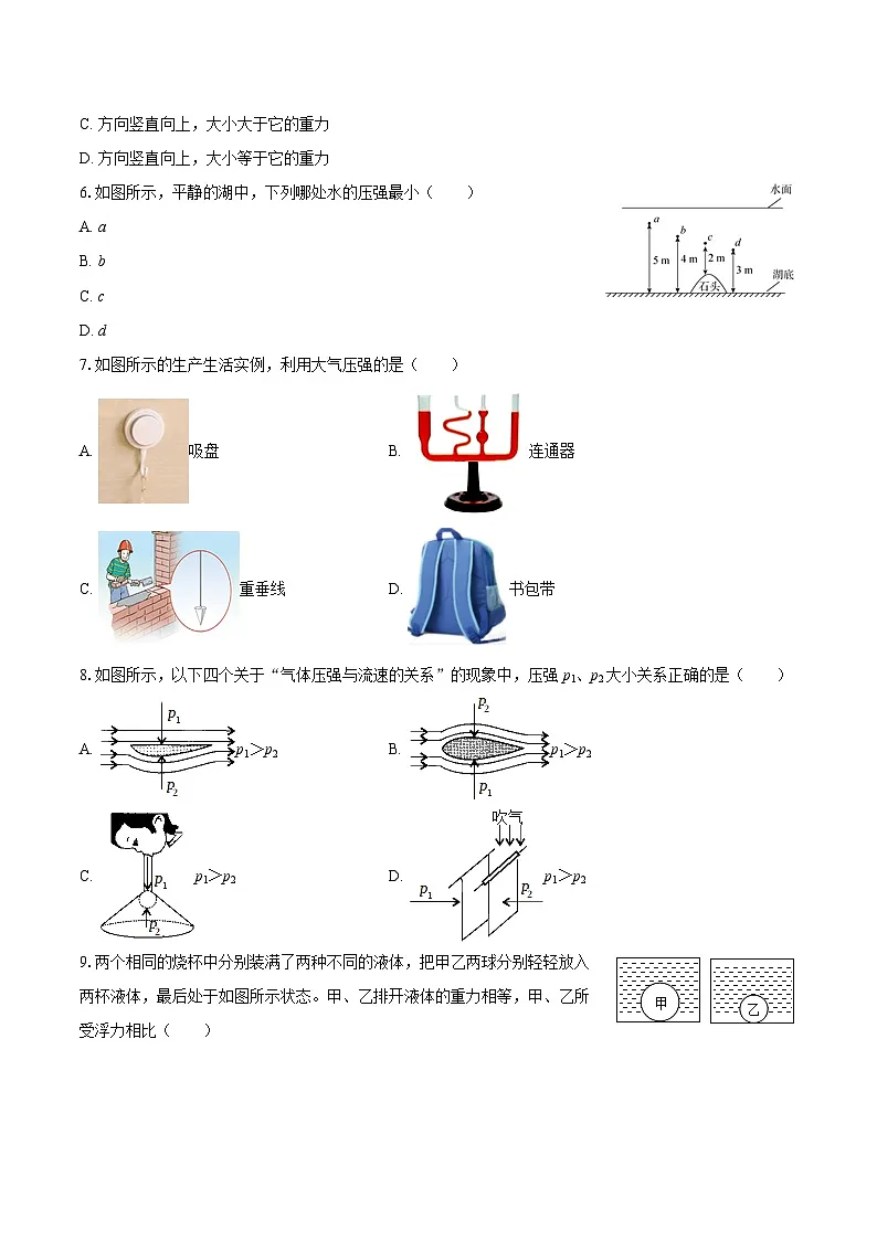 2024-2025学年广东省广州市番禺区金海岸实验学校八年级（下）期中物理试卷-自定义类型第2页