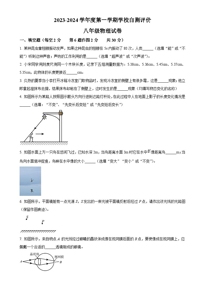 安徽省淮北市八年级上学期期末自测评价物理试题（原卷版）-A4第1页
