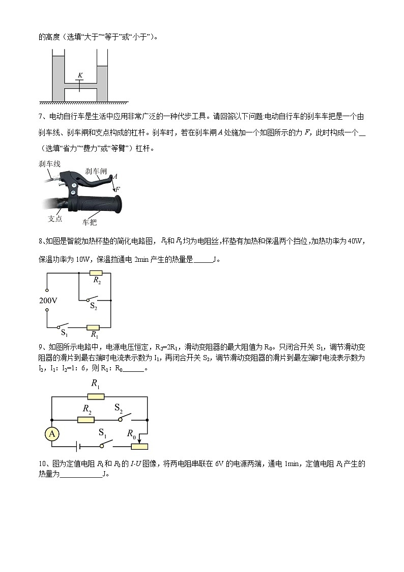 2025年安徽省中考模拟物理试题（练习卷）-A4第2页