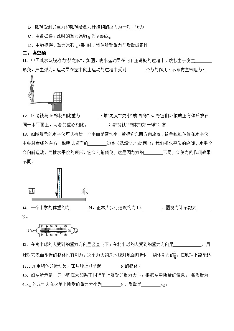6.3来自地球的力随堂同步练习  沪科版物理八年级全一册第3页