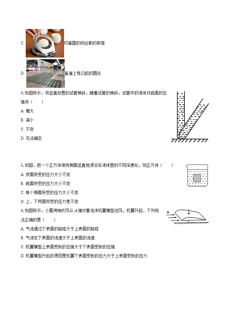 2024-2025学年安徽省合肥市肥东三中八年级（下）期中物理试卷-自定义类型第2页