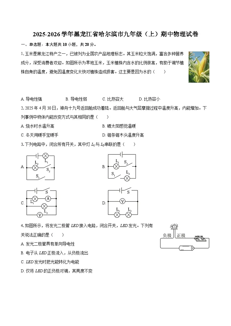2025-2026学年黑龙江省哈尔滨市九年级（上）期中物理试卷-自定义类型第1页