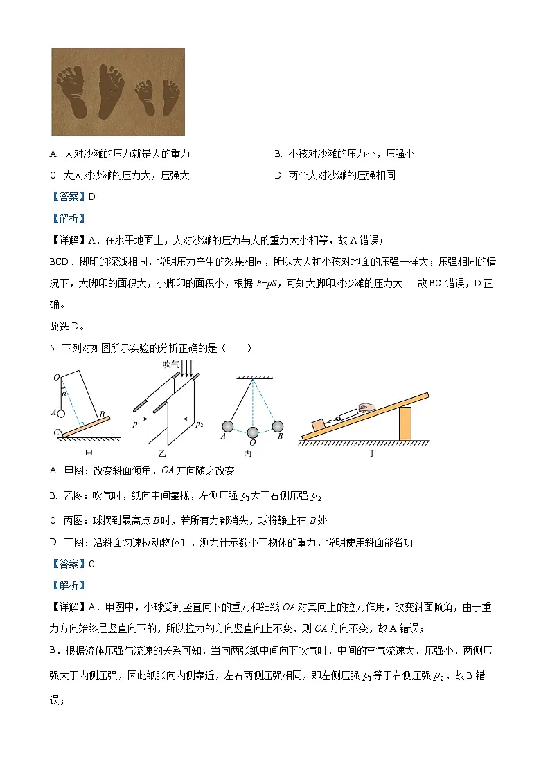 精品解析：河北省石家庄市桥西区2024-2025学年八年级下学期期末考试物理试题（解析版）第3页