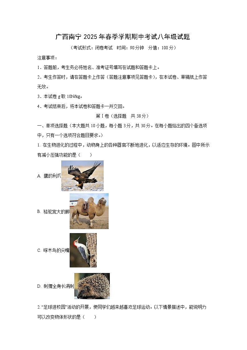 广西南宁市2024-2025学年八年级下学期期中考试物理试卷（学生版）第1页