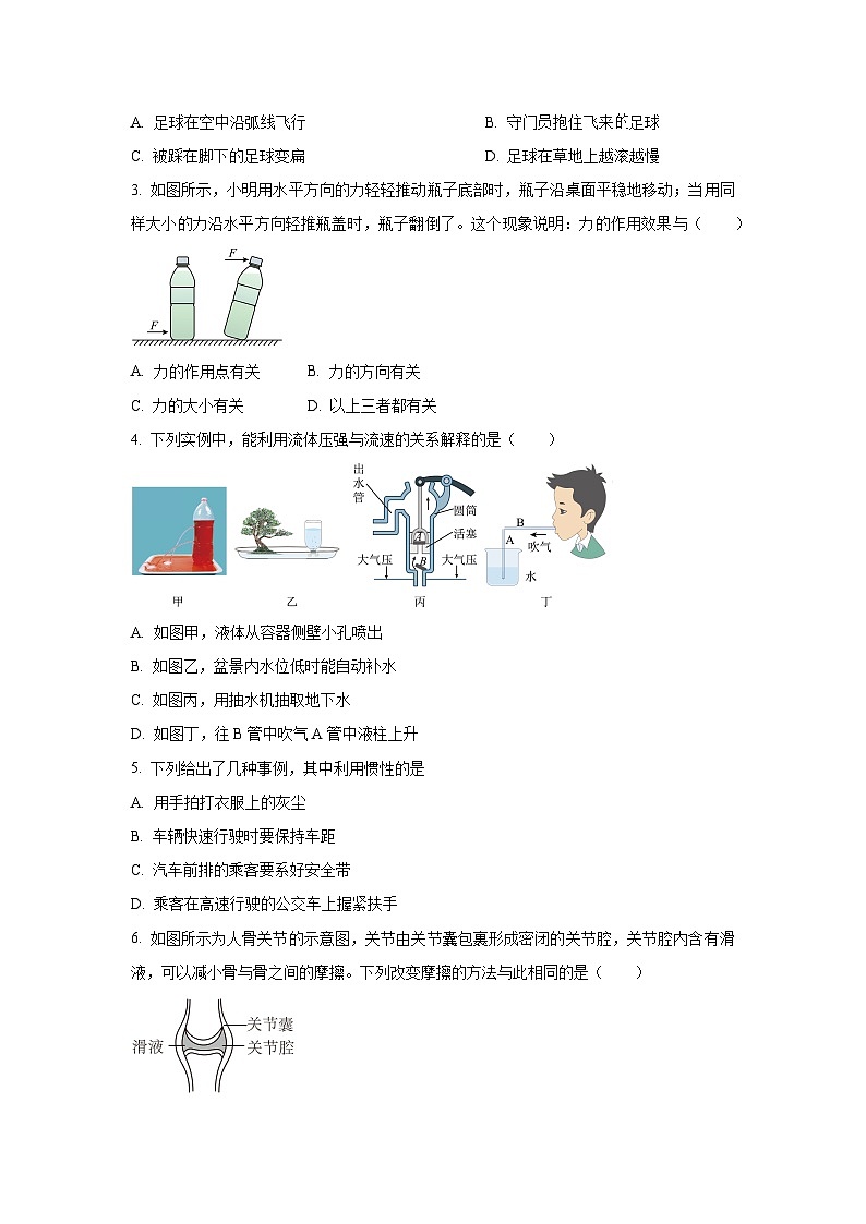 广西南宁市2024-2025学年八年级下学期期中考试物理试卷（学生版）第2页