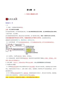 2026届中考物理一轮复习精讲精练专题7 力（2份，原卷版+解析版）