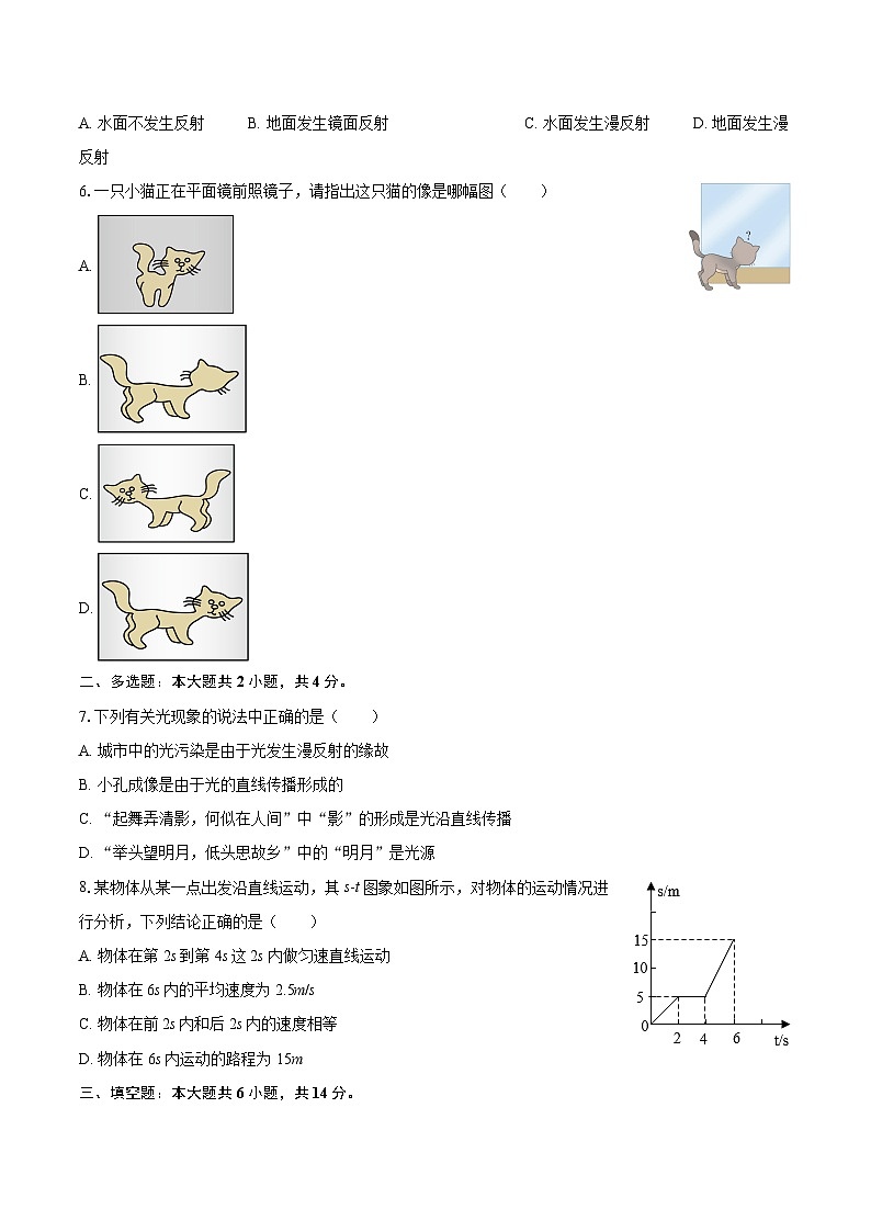2025-2026学年河南省周口市川汇区八年级（上）期中物理试卷-自定义类型第2页