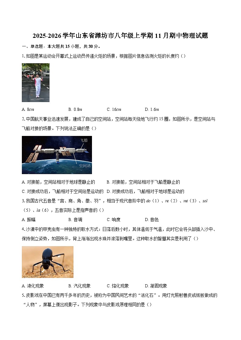 2025-2026学年山东省潍坊市八年级上学期11月期中物理试题-自定义类型第1页