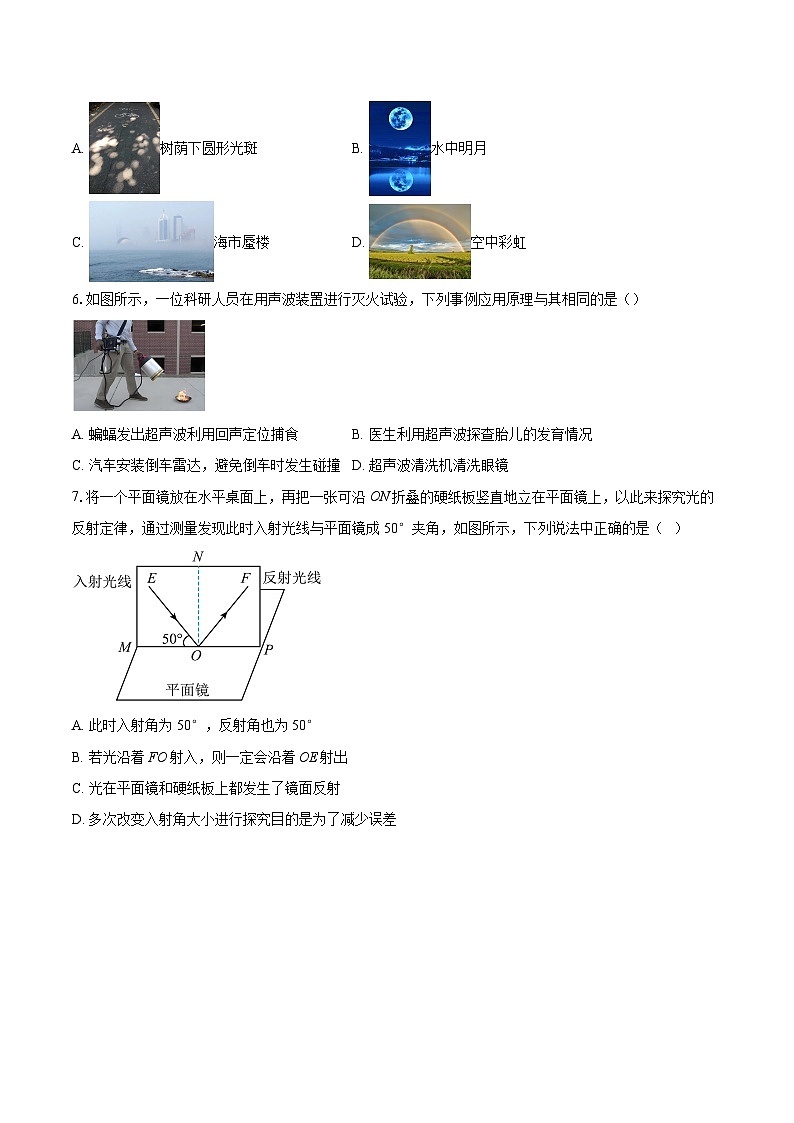 2025-2026学年山东省潍坊市八年级上学期11月期中物理试题-自定义类型第2页