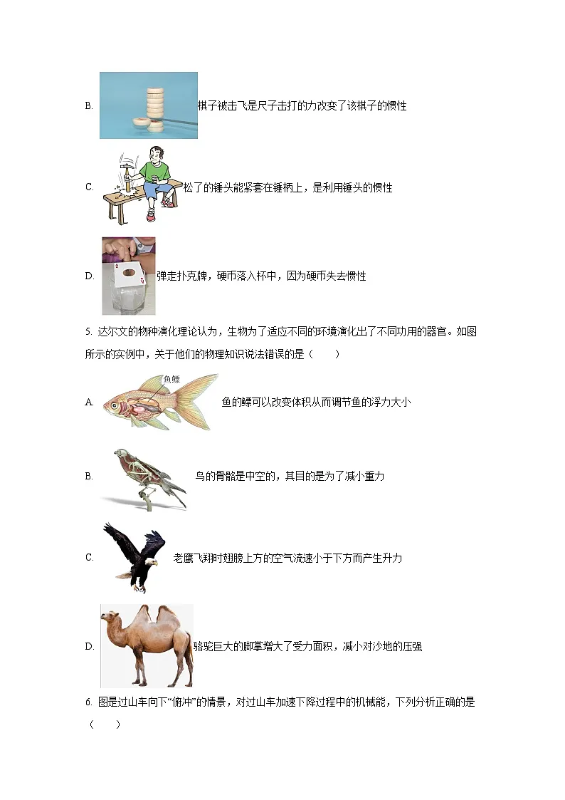 重庆市万州区2024-2025学年八年级下学期期中考试物理试卷（学生版）第2页