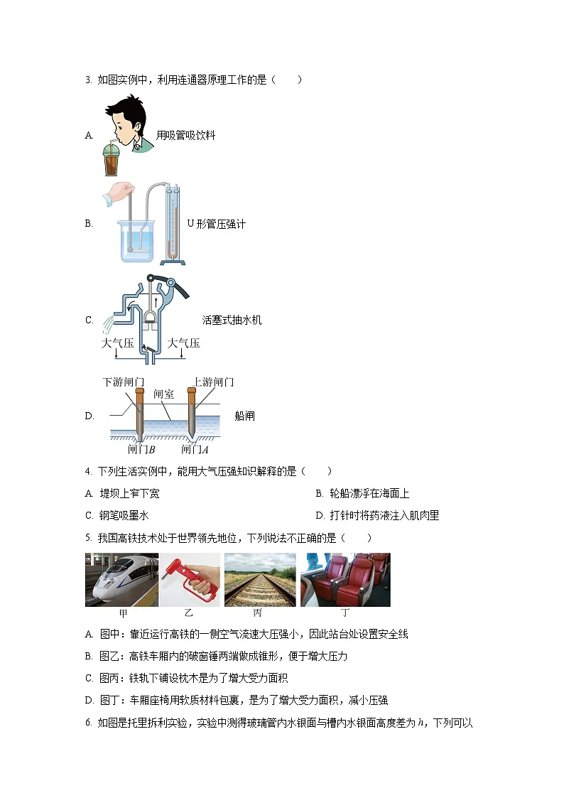 重庆市某校2024-2025学年八年级下学期期中考试物理试卷（学生版）第2页