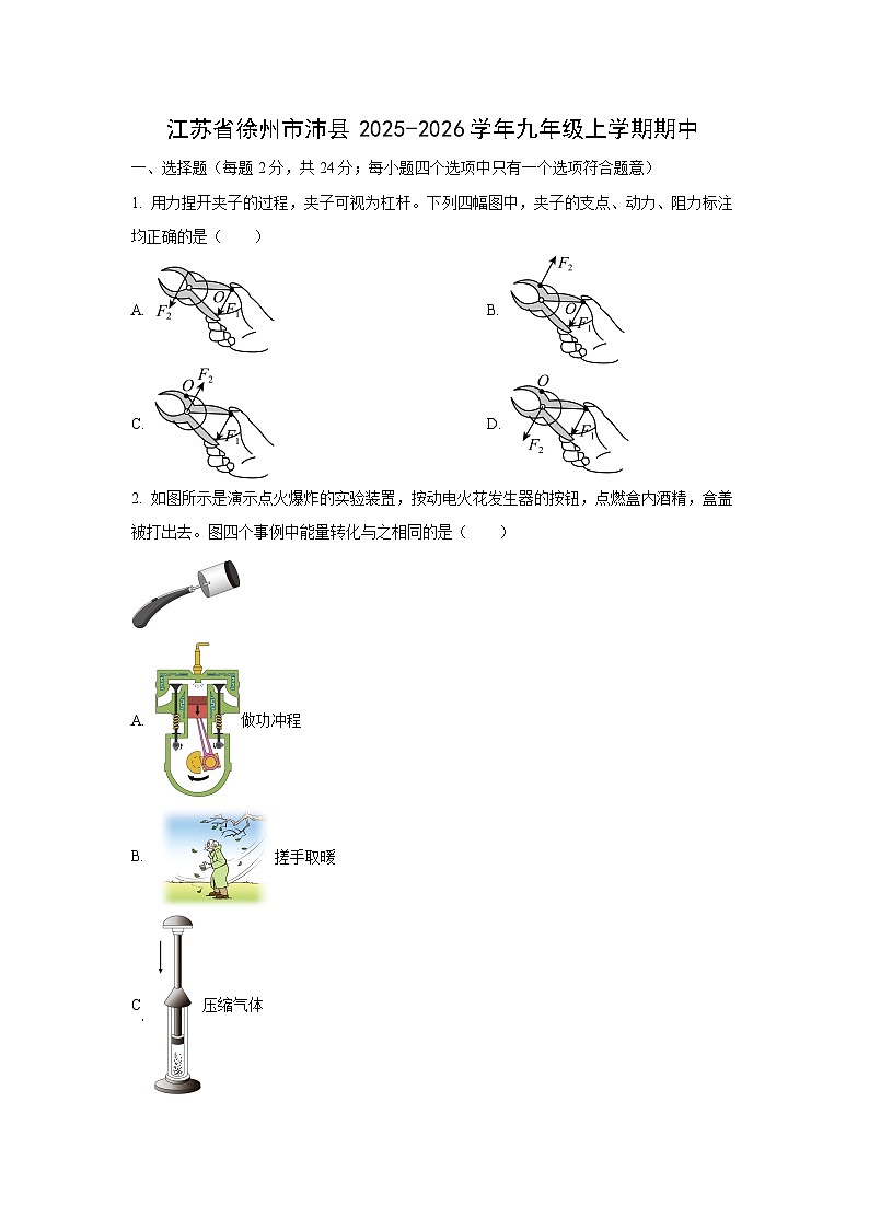 江苏省徐州市沛县2025-2026学年九年级上学期11月期中物理物理试卷（学生版）第1页