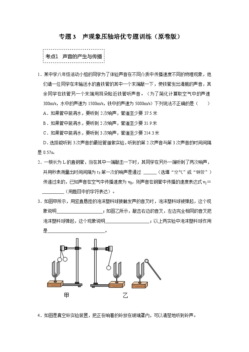 专题3  声现象-压轴培优专题训练（原卷版）第1页