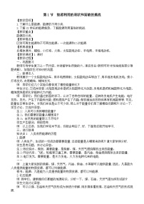 初中物理人教版（2024）九年级全册（2024）第1节 能源利用的现状和面临的挑战教案