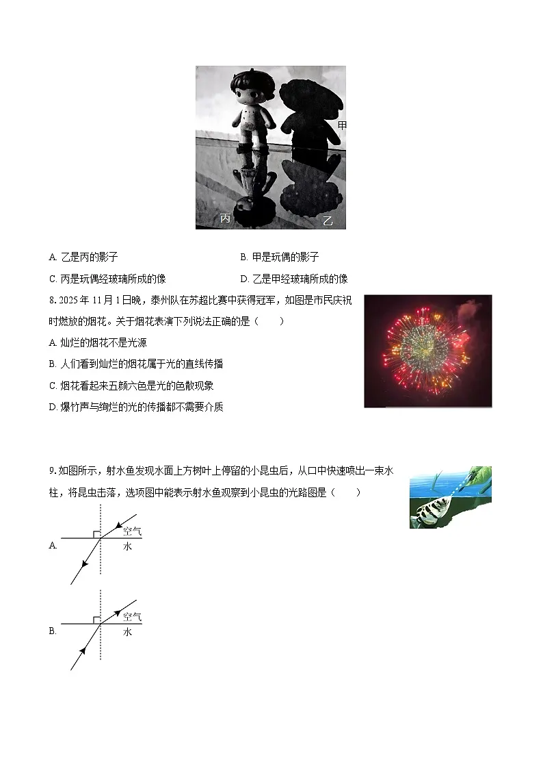 2025-2026学年江苏省泰州市泰兴市八年级（上）期中物理试卷-自定义类型第3页