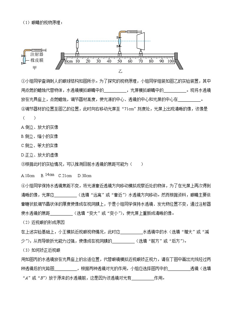 上海市四中学2024-2025学年八年级上学期期末考试物理试题（含答案+解析）第2页