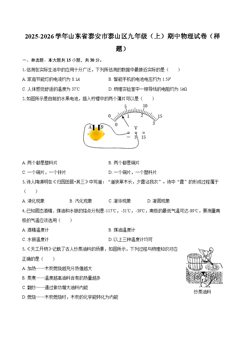 2025-2026学年山东省泰安市泰山区九年级（上）期中物理试卷（样题）-自定义类型第1页