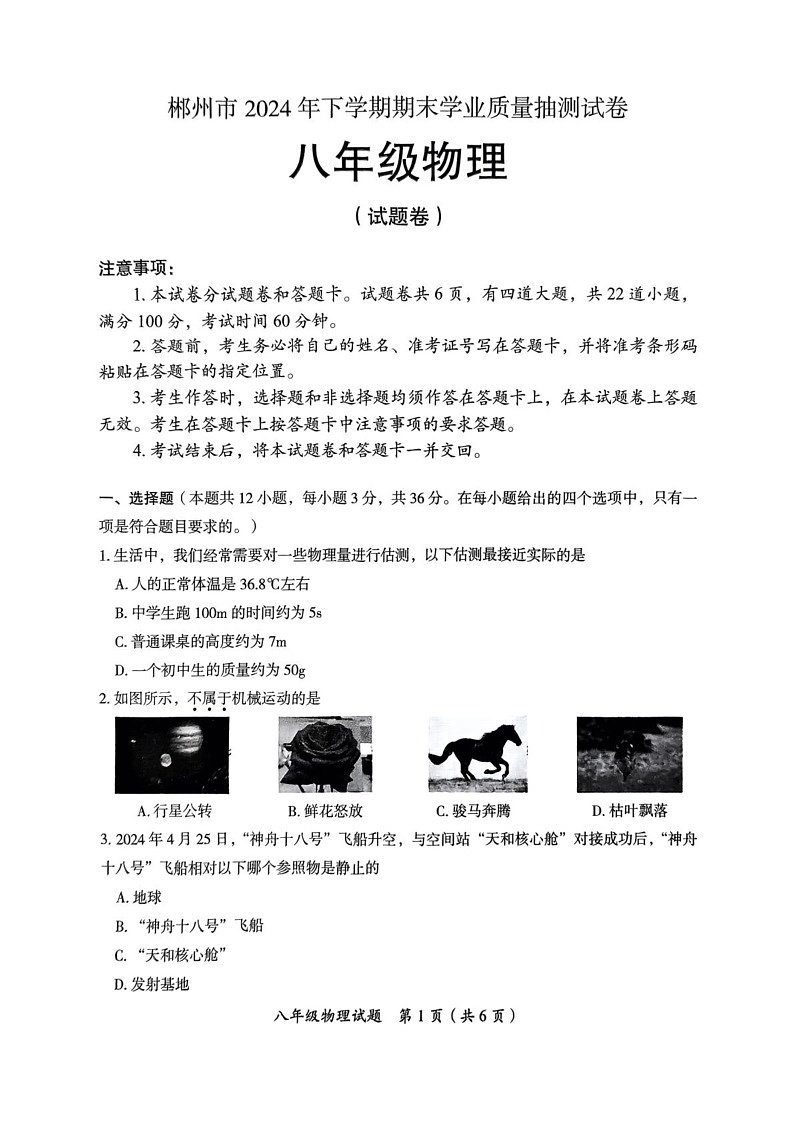 湖南省郴州市2024-2025学年八年级上学期期末考试物理试题第1页
