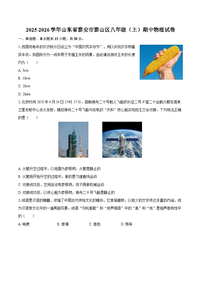 2025-2026学年山东省泰安市泰山区八年级（上）期中物理试卷-自定义类型第1页