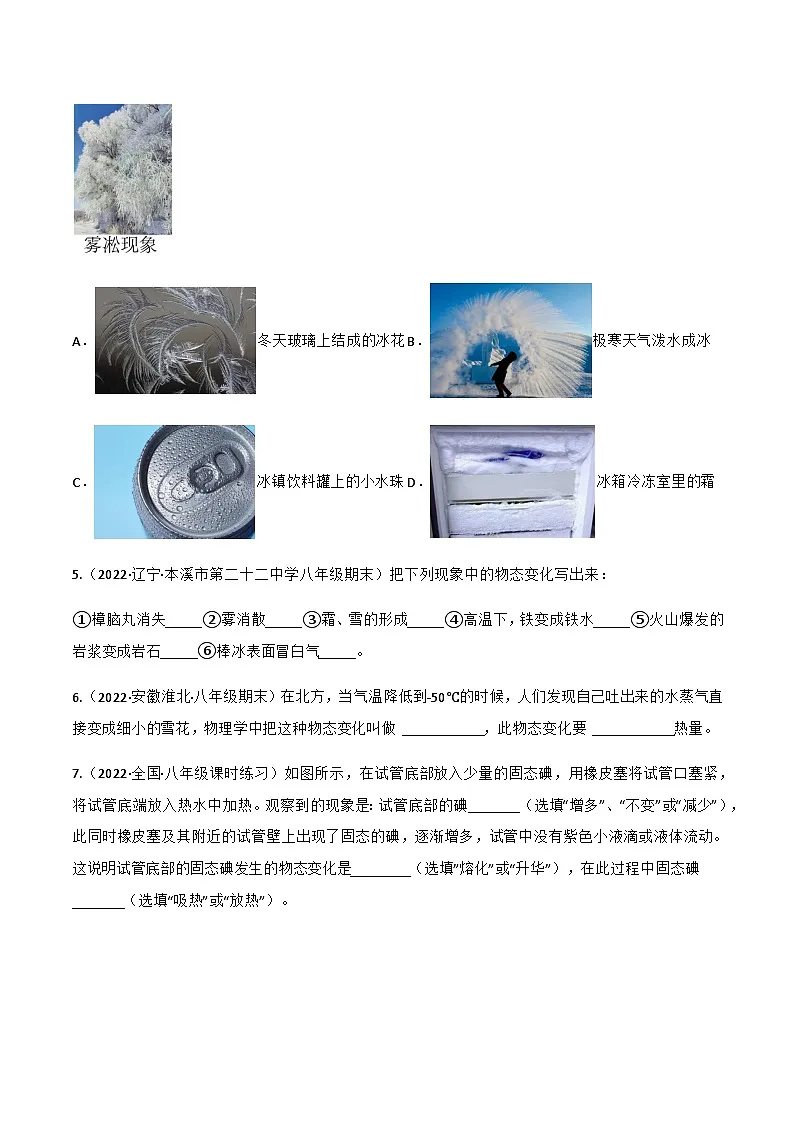 （人教版）八年级物理上册同步讲与练第3.4 升华和凝华（原卷版）第2页