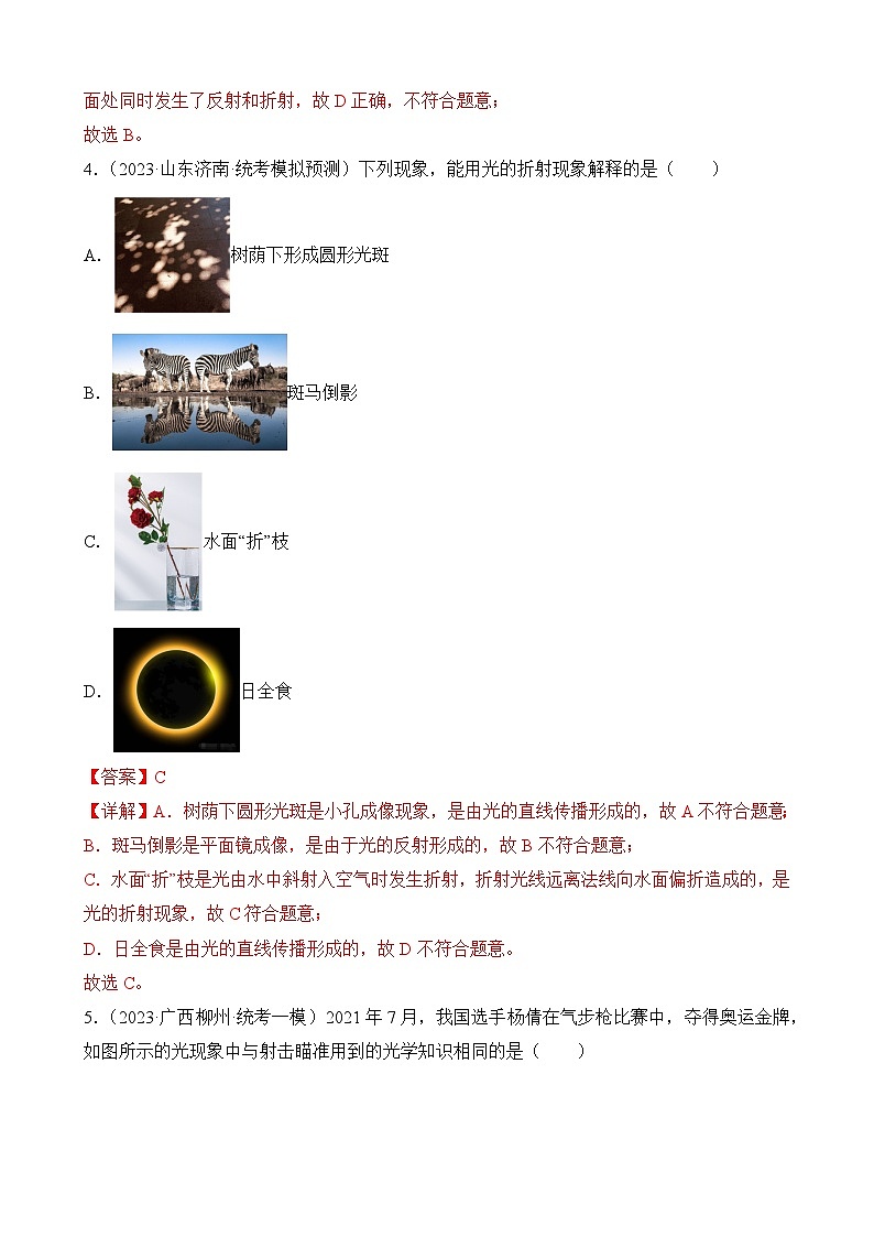 中考物理三轮冲刺易错题精练专题8 光学选择题（解析版）第3页