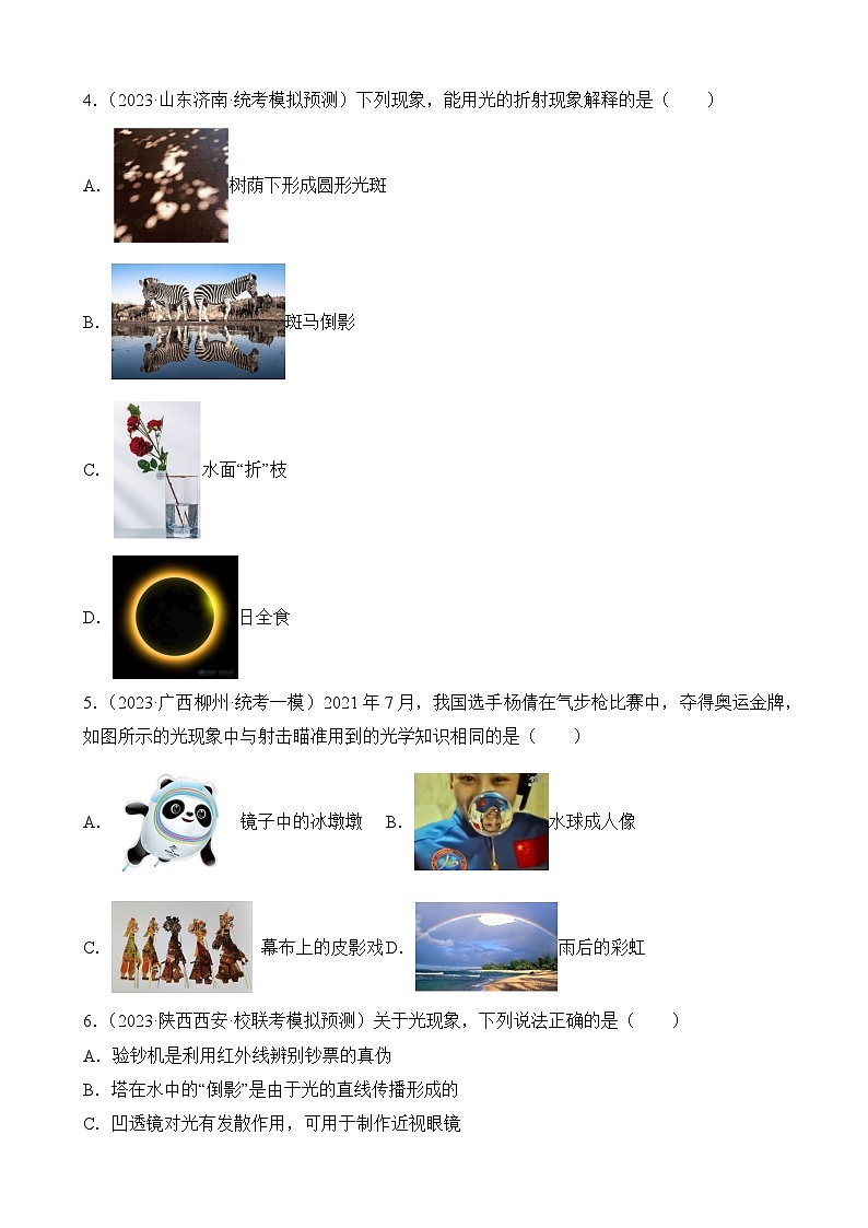 中考物理三轮冲刺易错题精练专题8 光学选择题（原卷版）第2页