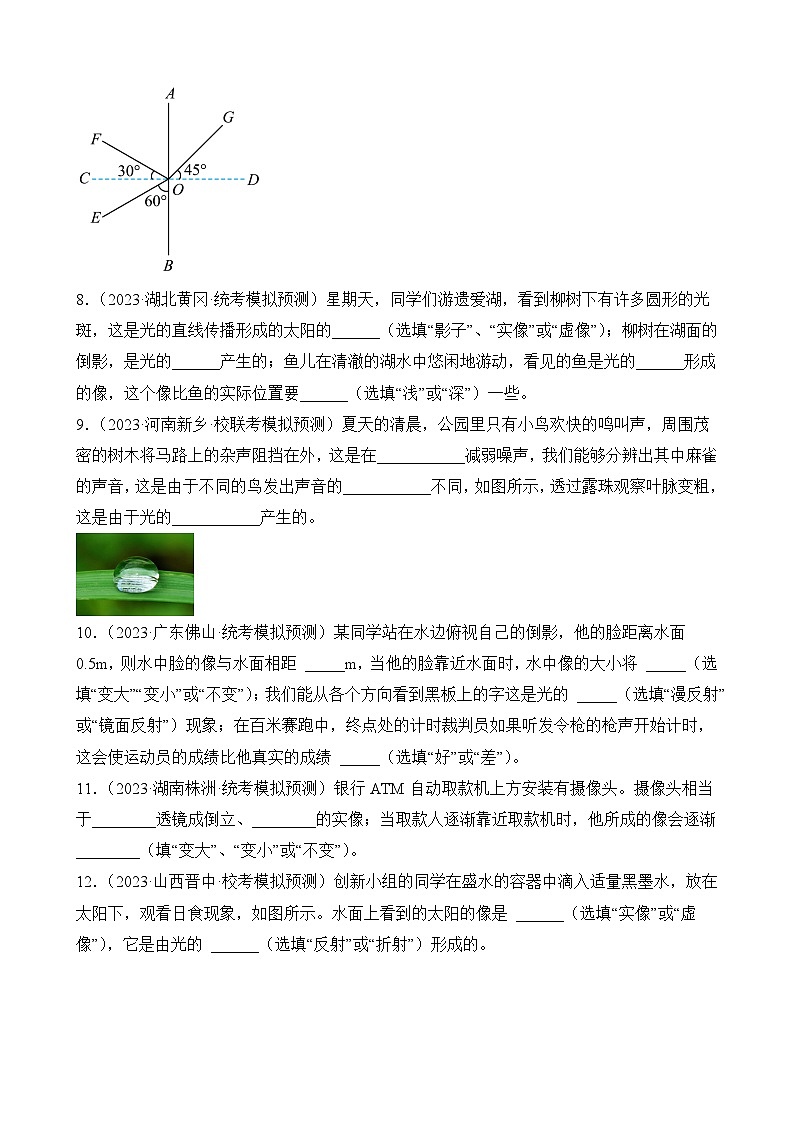 中考物理三轮冲刺易错题精练专题13 光学填空题（原卷版）第3页