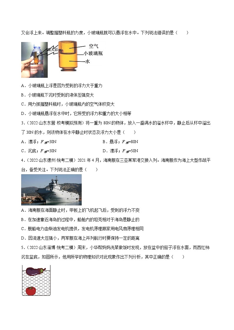 中考物理二轮复习核心考点专练第07讲 浮沉条件和浮力的应用（原卷版）第3页