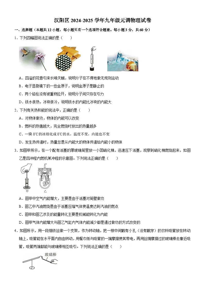 湖北省武汉市汉阳区2024-2025学年九年级上学期期末物理考试题（含答案）第1页