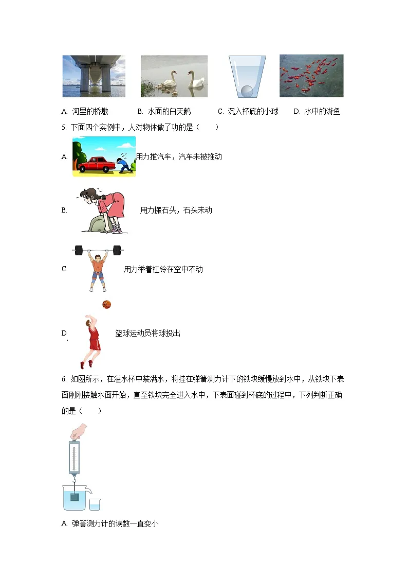 河北省保定市清苑区2024-2025学年八年级下学期期末物理试卷（学生版）第2页