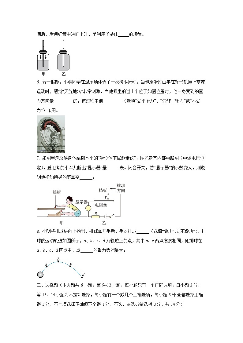 2025年江西省萍乡市安源区中考一模物理试卷（学生版）第2页