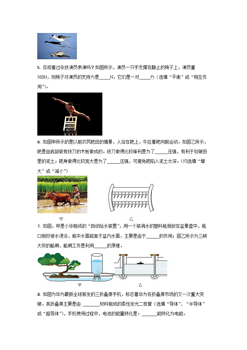 2025年江西省赣州市瑞金区中考一模物理试卷（学生版）第2页