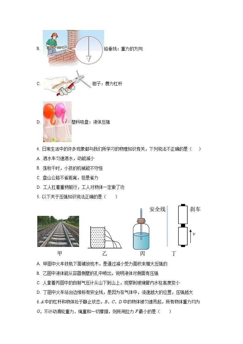 河北省秦皇岛市抚宁区2024-2025学年八年级下学期期末物理试卷（学生版）第2页