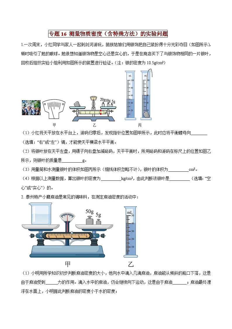 中考物理二轮复习压轴题精练专题16 测量物质密度（含特殊方法）的实验问题（原卷版） 第1页