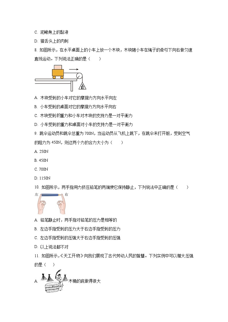 山东省滨州市博兴县2024-2025学年八年级下学期期中考试物理试卷（学生版）第3页