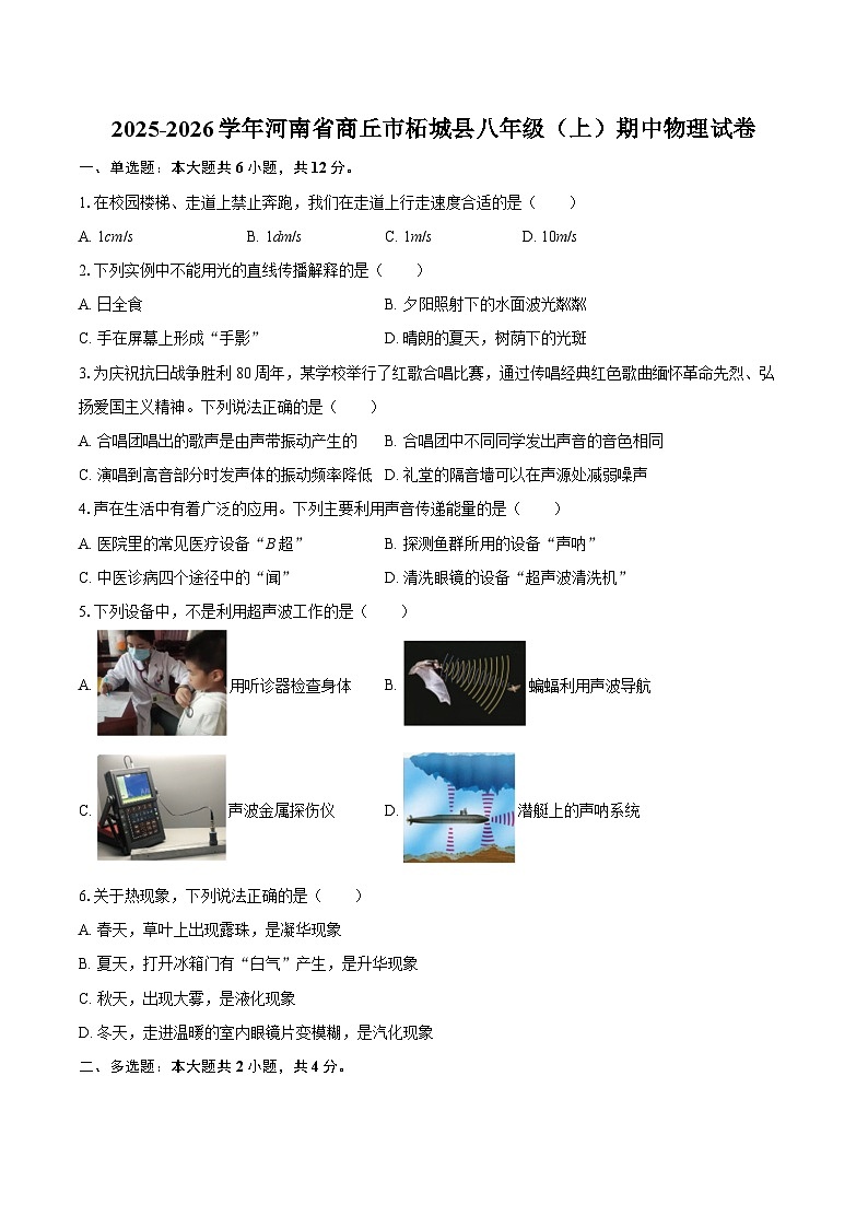 2025-2026学年河南省商丘市柘城县八年级（上）期中物理试卷-自定义类型第1页