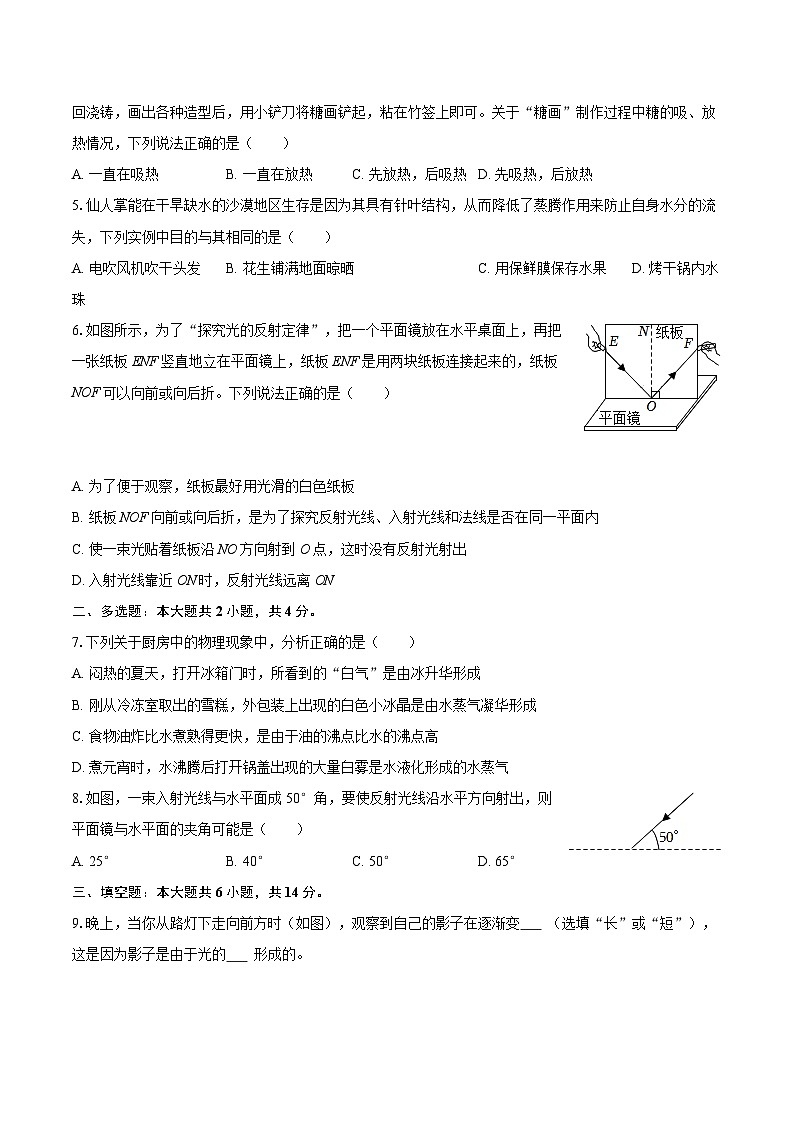 2025-2026学年河南省商丘市夏邑县八年级（上）期中物理试卷-自定义类型第2页