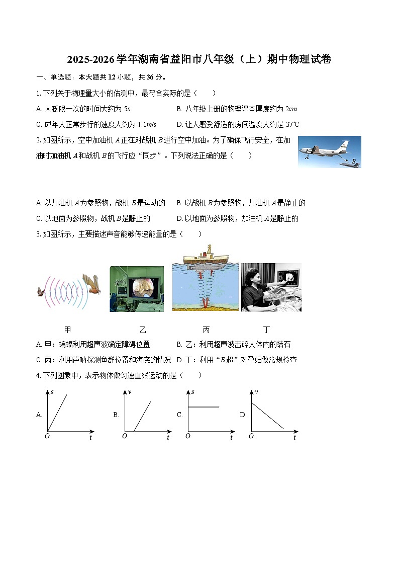 2025-2026学年湖南省益阳市八年级（上）期中物理试卷-自定义类型第1页
